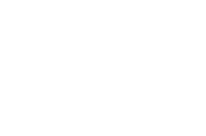 Support provided by Robert Wood Johnson Foundation